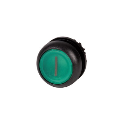 Napęd M22S-DL-G-X1 216939 zielony I