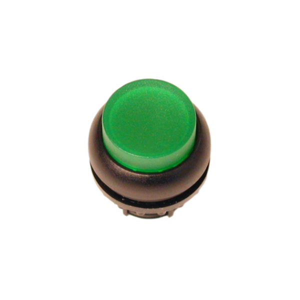 Napęd M22S-DLH-G 216970 zielony Napęd M22S-DLH-G 216970 zielony