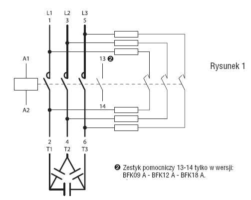 rysunek
