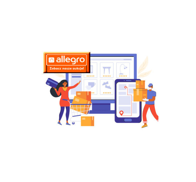 E-AUTOMATYKA na Allegro