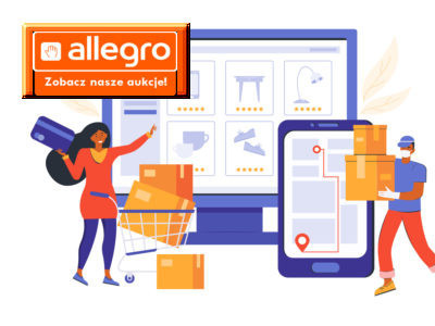 E-AUTOMATYKA na Allegro